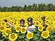 Provence by Bike