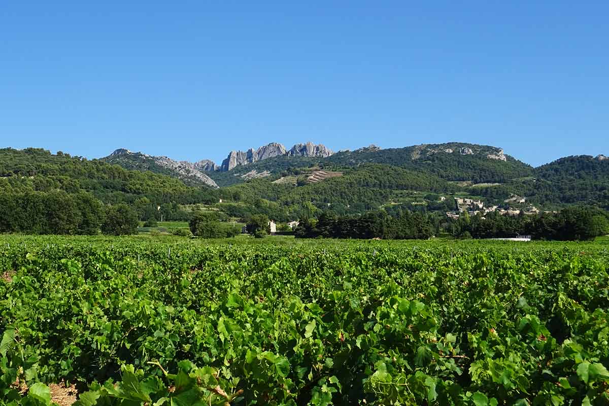 Les Dentelles de Montmirail